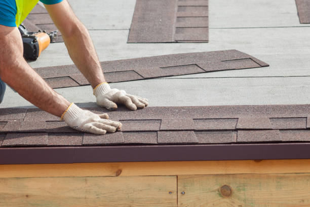 Best Roof Ventilation Installation  in Window Rock, AZ